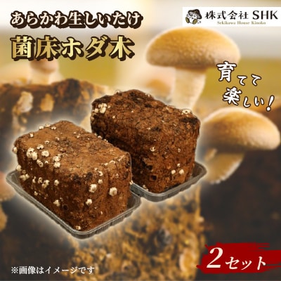 育てて楽しい!あらかわ生しいたけ菌床ホダ木 2セット