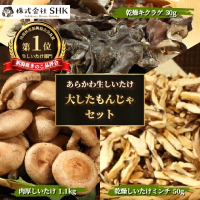 あらかわ生しいたけ　大したもんじゃセット(生しいたけ、乾燥しいたけミンチ、乾燥キクラゲ)