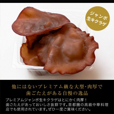 肉厚でプレミアムジャンボ!あらかわ生しいたけ&生キクラゲセット