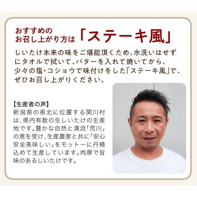 【毎月定期便】肉厚!あらかわ生しいたけ特選プレミアム全12回