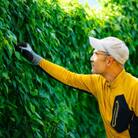 【関川村産】山薫る自然薯 カット品700g以上