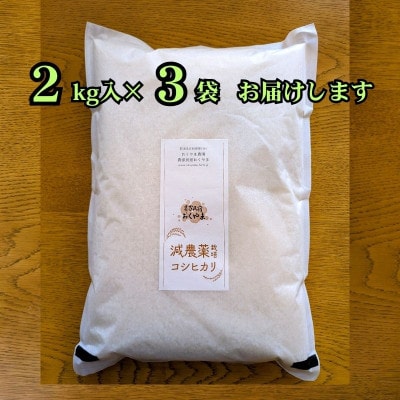 R8年産 濃厚な甘み! 岩船産コシヒカリ 精米6kg(2kg×3袋)[農家民宿おくやま]