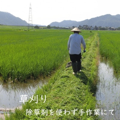 R7年産 [極上]安心こだわり米 岩船産コシヒカリ玄米9kg(3kg×3袋)[百姓屋]