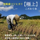【毎月定期便】[極上]こだわり米 岩船産コシヒカリ精米6kg(3kg×2袋)[奥越後の百姓屋]全6回
