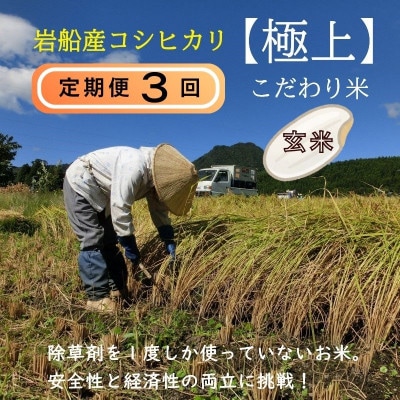 【毎月定期便】[極上]安心こだわり米 岩船産コシヒカリ 玄米6kg(3kg×2袋)[百姓屋]全3回