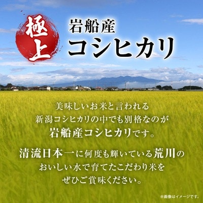 【毎月定期便】[極上]安心こだわり米 岩船産コシヒカリ 精米6kg(3kg×2袋)[百姓屋]全12回