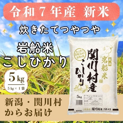 炊きたてつやつや R7年産 新潟関川村産 岩船米こしひかり 5kg [星山米店]