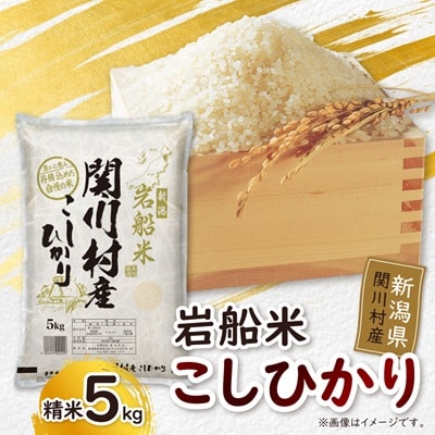 炊きたてつやつや R7年産 新潟関川村産 岩船米こしひかり 精米5kg [星山米店]