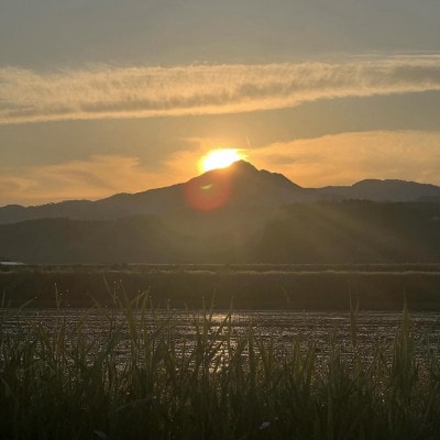 炊きたてつやつや R7年産 新潟関川村産 岩船米こしひかり 精米5kg [星山米店]