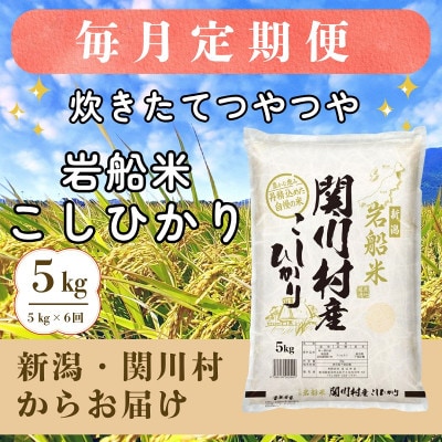 【毎月定期便】炊きたてつやつや 新潟関川村産 岩船米こしひかり　精米 5kg [星山米店]全6回