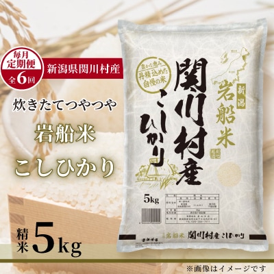 【毎月定期便】炊きたてつやつや 新潟関川村産 岩船米こしひかり　精米 5kg [星山米店]全6回