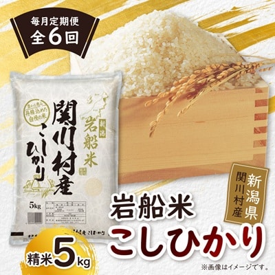 【毎月定期便】炊きたてつやつや 新潟関川村産 岩船米こしひかり　精米 5kg [星山米店]全6回