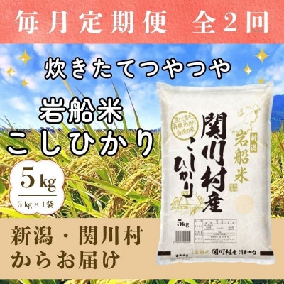 【毎月定期便】炊きたてつやつや 新潟関川村産 岩船米こしひかり精米 5kg [星山米店]全2回