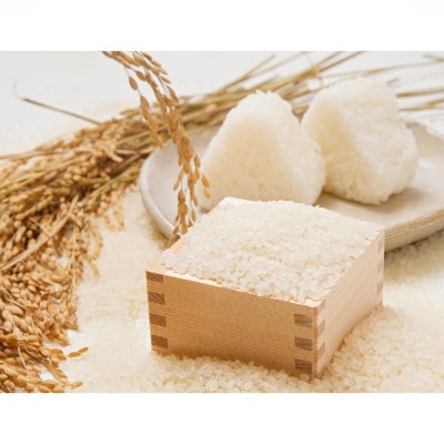 【毎月定期便】炊きたてつやつや 新潟関川村産 岩船米こしひかり精米 5kg [星山米店]全2回