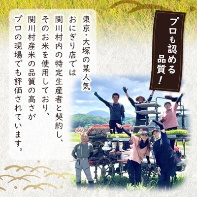 【毎月定期便】炊きたてつやつや 新潟関川村産 岩船米こしひかり精米 5kg [星山米店]全2回