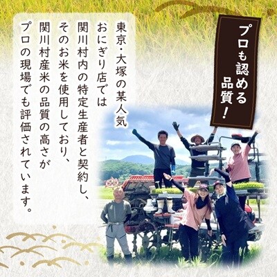 【毎月定期便】炊きたてつやつや 新潟関川村産 岩船米こしひかり精米 5kg [星山米店]全3回