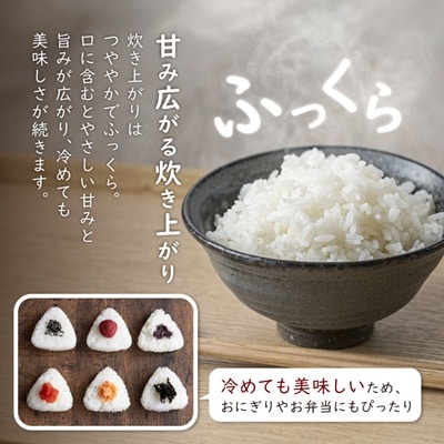 【毎月定期便】炊きたてつやつや 新潟関川村産 岩船米こしひかり精米 5kg [星山米店]全3回