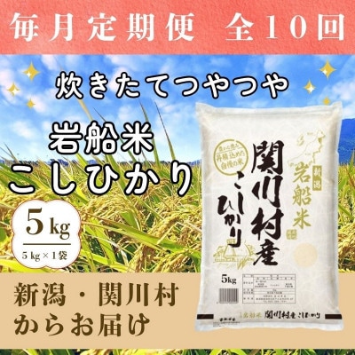 【毎月定期便】炊きたてつやつや 新潟関川村産 岩船米こしひかり精米 5kg全10回