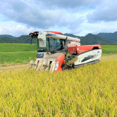 【毎月定期便】炊きたてつやつや 新潟関川村産 岩船米こしひかり精米 5kg全10回