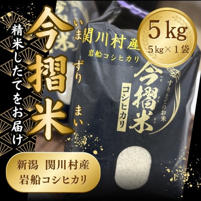 R7年産 関川村産 岩船コシヒカリ 今摺米 5kg(精米5kg×1袋)[JA北新潟]