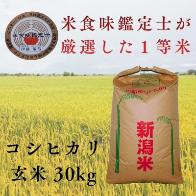 R7年産 新潟県岩船産 コシヒカリ玄米30kg　米食味鑑定士が厳選吟味した1等米 [青南総合農園]