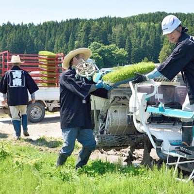 R7年産 新潟県岩船産 コシヒカリ玄米30kg　米食味鑑定士が厳選吟味した1等米 [青南総合農園]