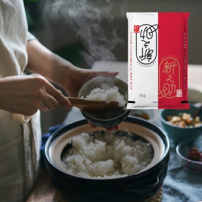 R8年産 新潟三大銘柄「岩船産」新之助 精米10kg(5kg×2袋) [ONODERAファーム]