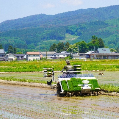 R8年産 新潟三大銘柄「岩船産」新之助 精米10kg(5kg×2袋) [ONODERAファーム]