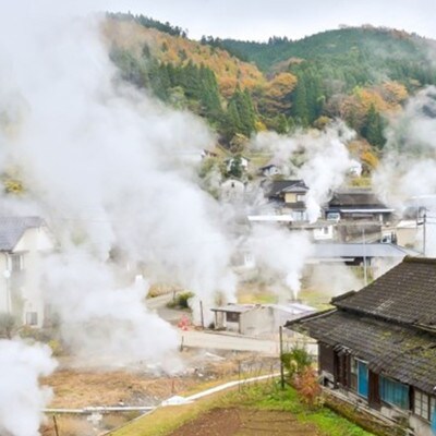 【阿蘇小国産】地熱乾燥ドライフルーツ(りんご)30g×4袋