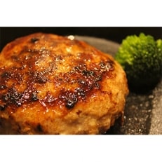 阿蘇あか牛ハンバーグ　10個セット