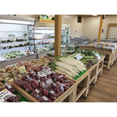 [阿蘇小国町]薬味野菜の里小国ふるさと野菜とお米5kgの詰め合わせ