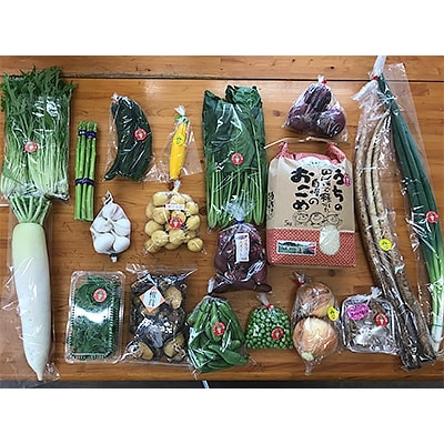[阿蘇小国町]薬味野菜の里小国ふるさと野菜とお米5kgの詰め合わせ