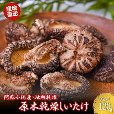阿蘇小国産 地熱乾燥 原木しいたけ 30g 4袋 計120g 常温配送 ご自宅用 贈答用