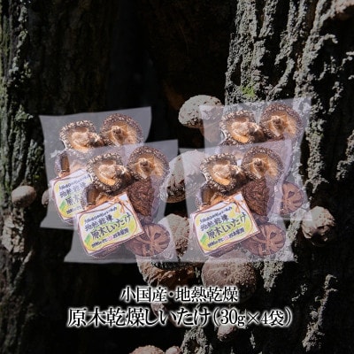 阿蘇小国産 地熱乾燥 原木しいたけ 30g 4袋 計120g 常温配送 ご自宅用 贈答用