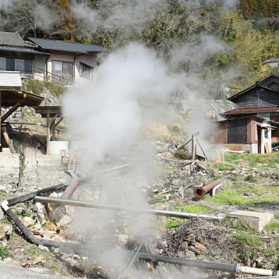 阿蘇小国産 地熱乾燥 原木しいたけ 30g 4袋 計120g 常温配送 ご自宅用 贈答用