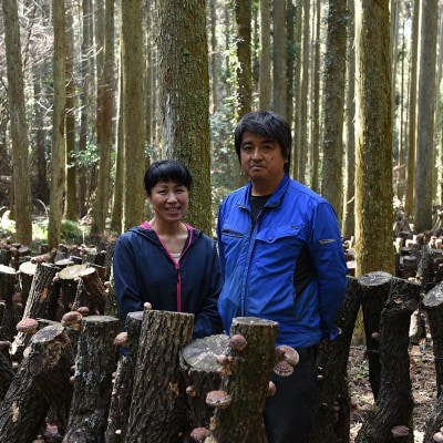 阿蘇小国産 地熱乾燥 原木しいたけ 30g 4袋 計120g 常温配送 ご自宅用 贈答用