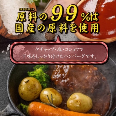 【矢野畜産】創業70年以上!メディアでも紹介「熊本産あか牛使用・手ごね生ハンバーグ」150g×10個
