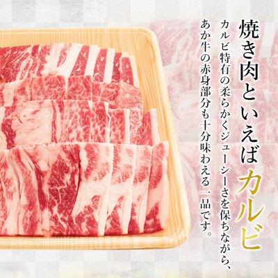 【矢野畜産】創業70年以上!熊本県産「褐毛和種(あか牛)」カルビ 焼肉・バーベキュー用500g