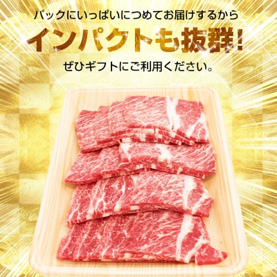 【矢野畜産】創業70年以上!熊本県産「褐毛和種(あか牛)」肩ロース 焼肉・バーベキュー用500g