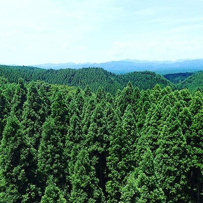 【阿蘇小国杉】森が香るアロマソイキャンドル -LOVE FOREST -