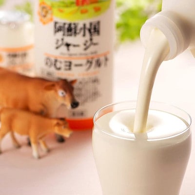 【阿蘇小国ジャージー牛乳】のむヨーグルト 150ml×12本(YS-5)/JA阿蘇小国郷