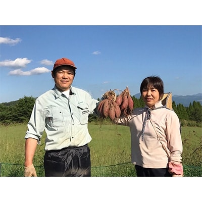 レンジでホクホク「あま～いおいも」＜12袋 (約3.6kg)入＞