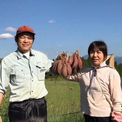 【ギフト用】 阿蘇小国育ちのミニ干し芋(35g×10袋入)