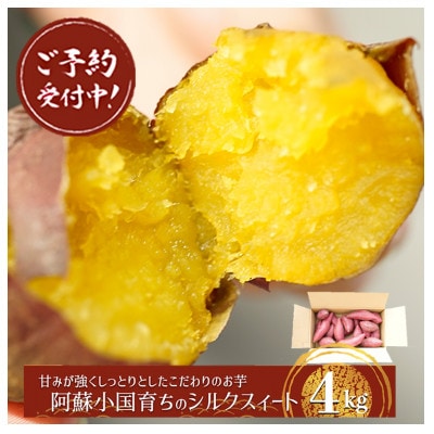 【先行予約】令和7年産 下巣畑農産の『小国シルクスイート』4kg(令和8年1月以降出荷)