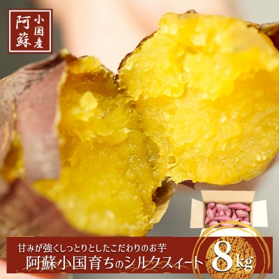 【下巣畑農産】令和7年産 熟成『阿蘇小国シルクスイート』8kg(ASIAGAP認証農場)