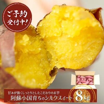 【下巣畑農産】先行予約 令和8年産 熟成『阿蘇小国シルクスイート』8kg(ASIAGAP認証農場)