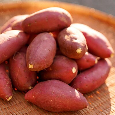 【さとふる限定】【下巣畑農産】阿蘇小国シルクスィート干し芋110g入×5袋(ASIAGAP認証農場)