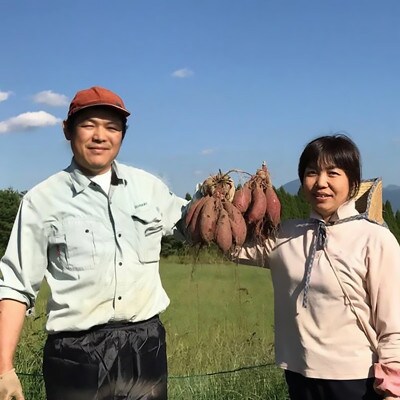 【さとふる限定】【下巣畑農産】阿蘇小国シルクスィート干し芋110g入×5袋(ASIAGAP認証農場)