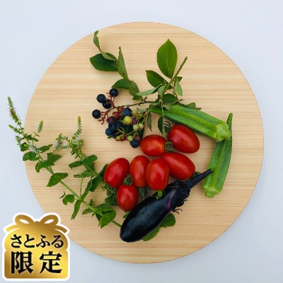 【さとふる限定】木製まんまるまな板　-LLサイズ-　直径約32cm　天然ヒノキ無垢材