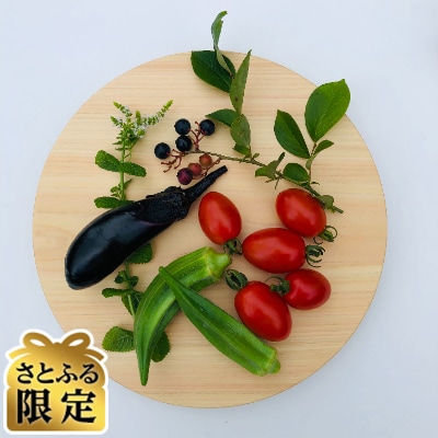 【さとふる限定】木製まんまるまな板 -Mサイズ- 直径約27cm 天然ヒノキ無垢材